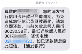 疏附如何避免债务纠纷？专业追讨公司教您应对之策